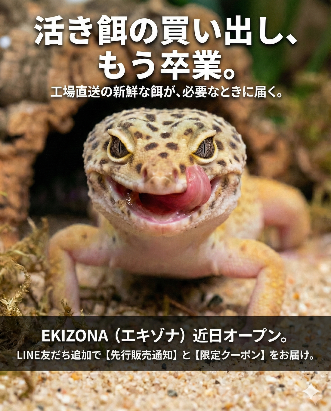 【プレオープンのお知らせ】ご希望の生餌に合わせて「在庫」を優先確保します（先行リクエスト受付中）