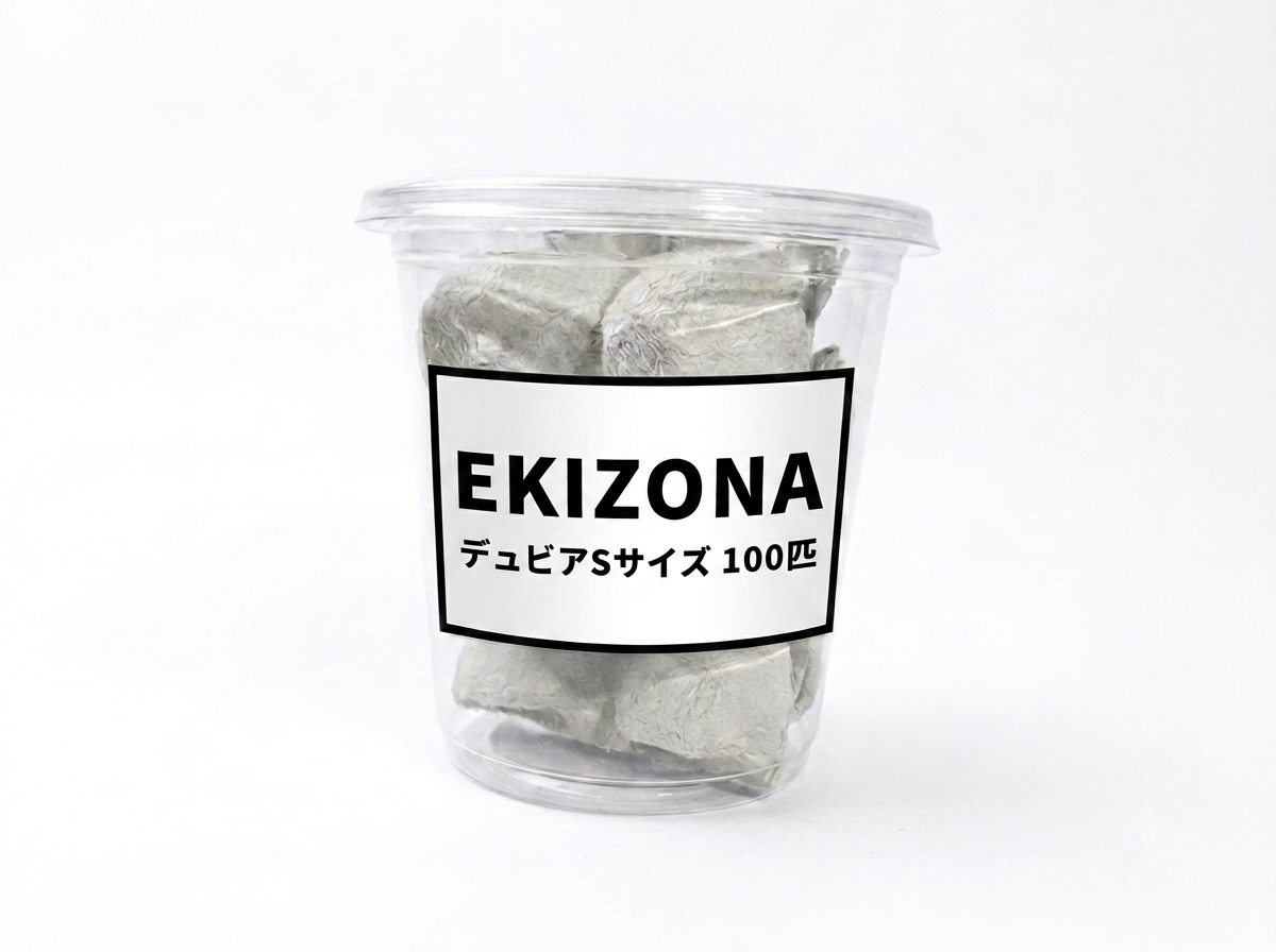 デュビア 生き餌｜爬虫類・レオパ向け［サイズ・数量が選べる］