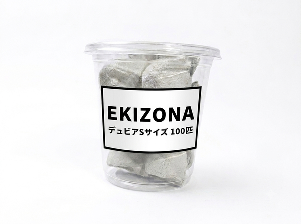 デュビア 生き餌｜爬虫類・レオパ向け［サイズ・数量が選べる］